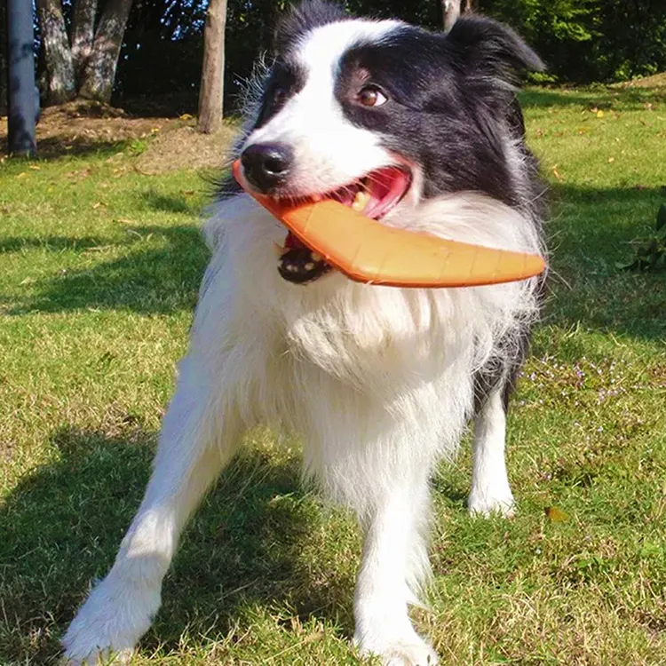 EVA Pet Dart